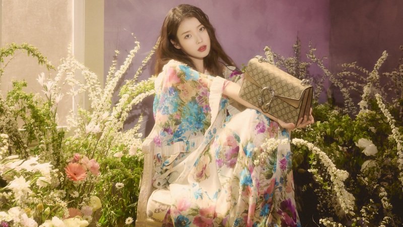 原神魈怎么配队 魈配队阵容推荐